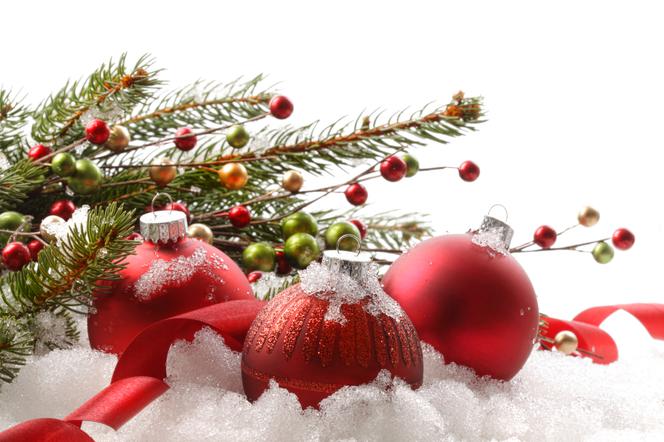 - grafika_soltys_lagowa_2021.jpg - grafika_soltys_lagowa_2021.jpg